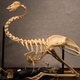 Image for article titled Ancient Bones and Millionaires: Dinosaurs For Sale in Manhattan